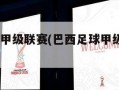 巴西足球甲级联赛(巴西足球甲级联赛2023积分榜)