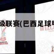 巴西足球甲级联赛(巴西足球甲级联赛2023积分榜)