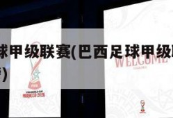 巴西足球甲级联赛(巴西足球甲级联赛2023积分榜)