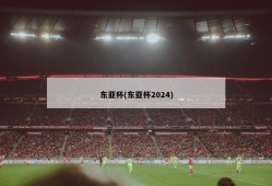 东亚杯(东亚杯2024)