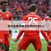 热火足球(热血足球密码大全fc)