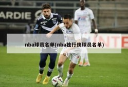 nba球员名单(nba独行侠球员名单)