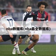 nba数据库(nba最全数据库)