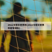 2022卡塔尔世界杯(2022卡塔尔世界杯冠军球队)