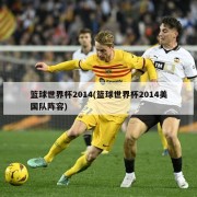 篮球世界杯2014(篮球世界杯2014美国队阵容)