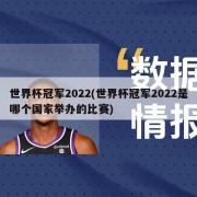 世界杯冠军2022(世界杯冠军2022是哪个国家举办的比赛)