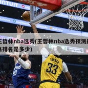 王哲林nba选秀(王哲林nba选秀预测最高排名是多少)