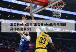 王哲林nba选秀(王哲林nba选秀预测最高排名是多少)