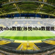 孙悦nba数据(孙悦nba数据统计)