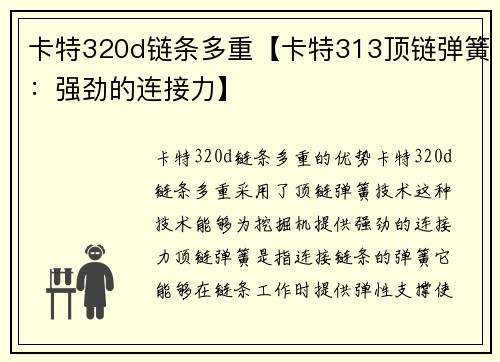 卡特320d链条多重【卡特313顶链弹簧：强劲的连接力】