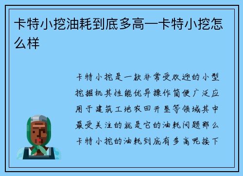 卡特小挖油耗到底多高—卡特小挖怎么样