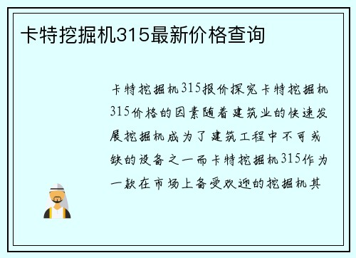 卡特挖掘机315最新价格查询